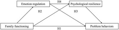 The association between family functioning and problem behaviors among Chinese preschool left-behind children: the chain mediating effect of emotion regulation and psychological resilience